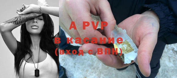 ешки Арсеньев