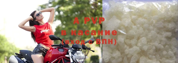 PSILOCYBIN Аркадак