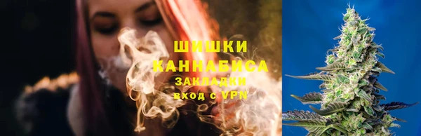 PSILOCYBIN Аркадак