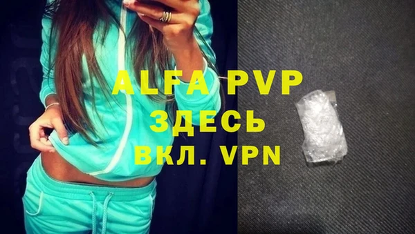 PSILOCYBIN Аркадак
