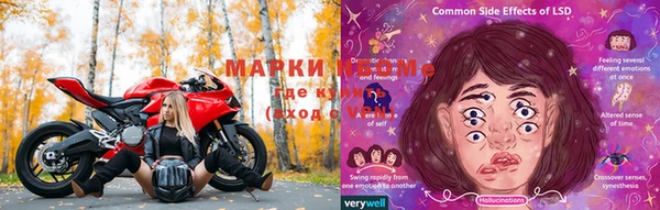 PSILOCYBIN Аркадак