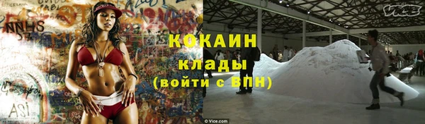 PSILOCYBIN Аркадак