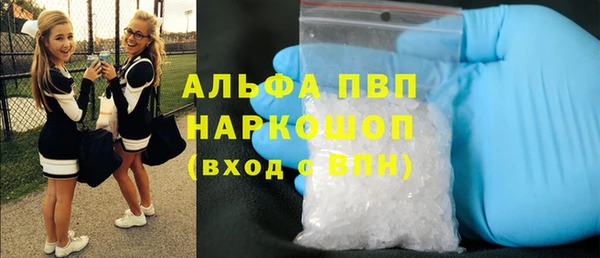 PSILOCYBIN Аркадак